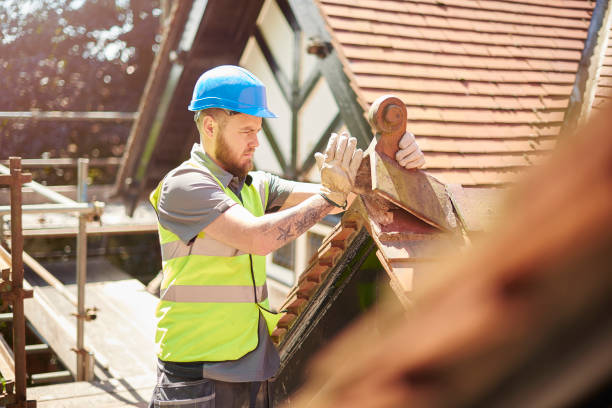 Best Metal Roofing Contractor  in Goodview, MN